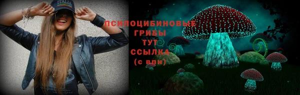 мяу мяу мука Волоколамск